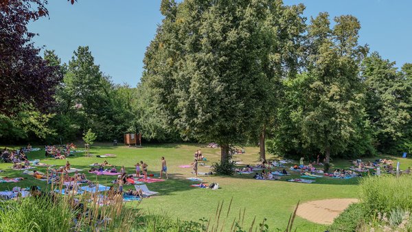 Liegewiese im Freibad Gaustadt in Bamberg