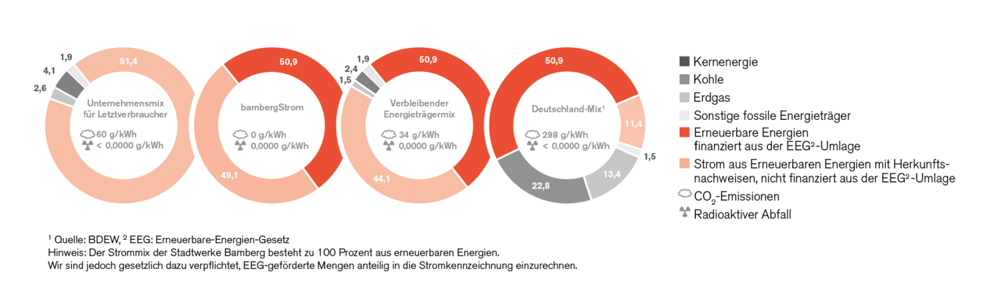 Kreisdiagram Stromzusammensetzung