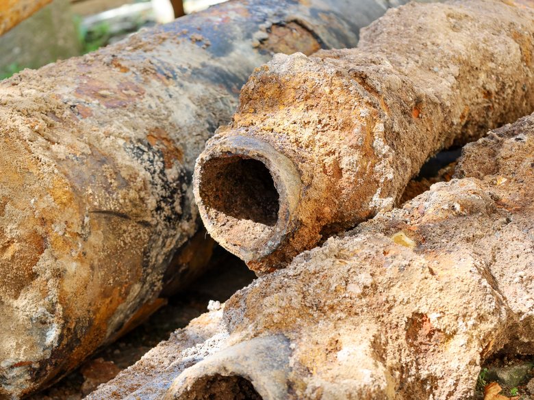 Wasserleitungserneuerung im Kammermeisterweg: Stadtwerke Bamberg schaffen Vogelhecke und Eidechsenhabitat